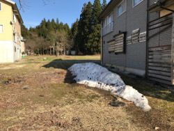 新潟の残雪