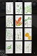 seo2_thumb.png