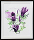 Saitou(Masami)_05_thumb.png