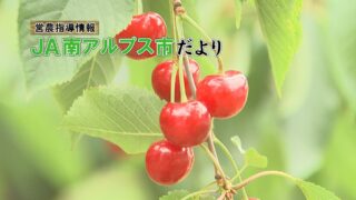 JA南アルプス市だより